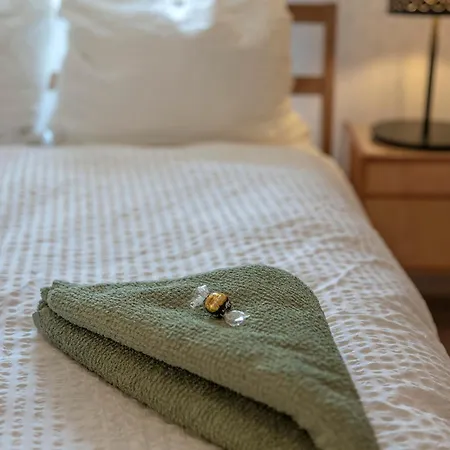 Altstadtnahes Domblickapartment 公寓 雷根斯堡